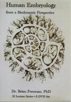 Human Embryology from a Biodynamic Perspective 